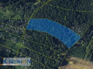 Prodej lesa, Vratislávka, 4384 m2