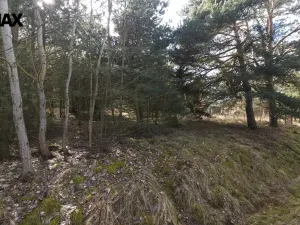 Prodej pozemku pro bydlení, Olešná, 1249 m2