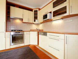 Pronájem bytu 3+1, Brno, Pod nemocnicí, 74 m2