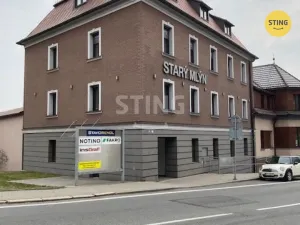 Pronájem skladu, Český Těšín, Ostravská, 230 m2