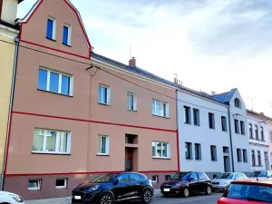 Prodej bytu 3+1, Krnov - Pod Bezručovým vrchem, Březinova, 177 m2