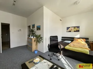 Pronájem bytu 1+1, Boskovice, 46 m2