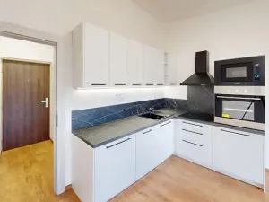 Pronájem bytu 1+kk, Praha - Střešovice, Na Petynce, 43 m2