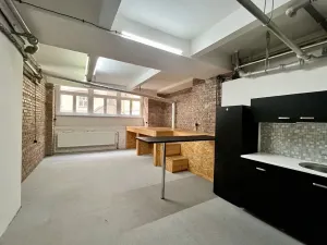 Pronájem bytu 1+kk, Praha - Nové Město, Dittrichova, 57 m2