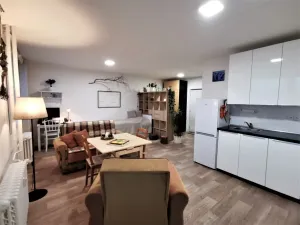 Pronájem bytu 1+kk, Litoměřice - Předměstí, Revoluční, 35 m2