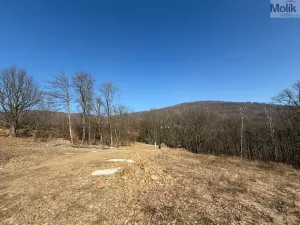 Prodej pozemku pro bydlení, Lom - Loučná, Tyršova stezka, 2648 m2