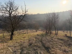 Prodej zahrady, Litoměřice - Pokratice, U Medulánky, 1409 m2