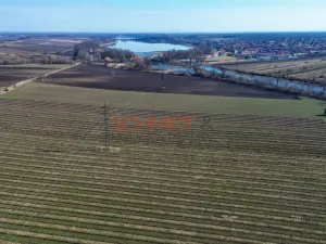 Prodej sadu/vinice, Sedlec, 11641 m2