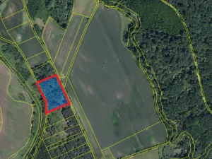 Prodej lesa, Břeclav - Charvátská Nová Ves, 3405 m2