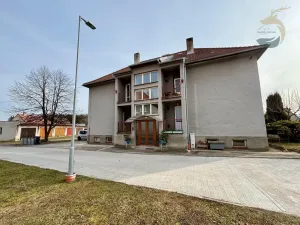 Prodej bytu 3+1, Žichovice, 75 m2