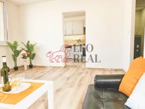 Pronájem bytu 2+1, Nový Jičín - Loučka, Na Lani, 43 m2