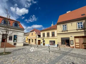 Prodej obchodního prostoru, Znojmo, Horní Česká, 300 m2