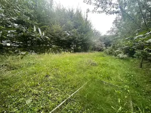 Prodej zahrady, Přerov, Jižní čtvrť I, 315 m2