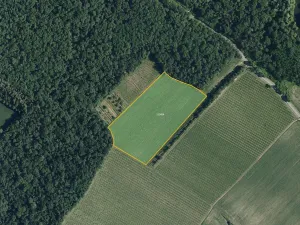 Prodej sadu/vinice, Bulhary, 63228 m2