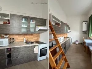 Pronájem bytu 1+kk, České Budějovice - České Budějovice 3, Nerudova, 38 m2