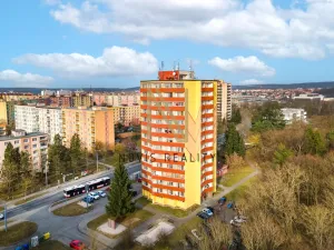 Pronájem bytu 1+1, Plzeň, Heyrovského, 36 m2