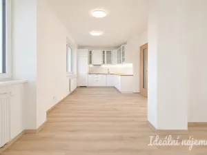 Pronájem bytu 2+kk, Brno, Jižní, 35 m2