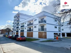 Pronájem bytu 1+kk, Plzeň, Pilařská, 45 m2