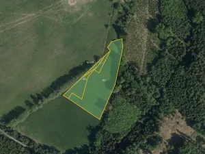 Prodej louky, Načešice, 5784 m2