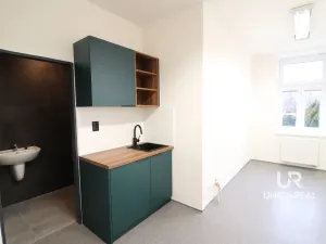 Pronájem obchodního prostoru, Brno - Staré Brno, Zahradnická, 32 m2