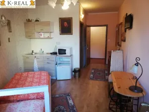 Pronájem bytu 1+kk, Brno - Bosonohy, 22 m2