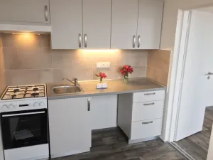 Pronájem bytu 1+1, Ostrava - Zábřeh, Horymírova, 33 m2