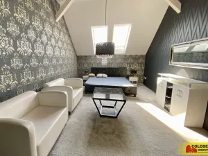 Pronájem ubytování, Hodonín, 292 m2