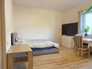 Pronájem bytu 1+kk, Tachov, Boženy Němcové, 27 m2