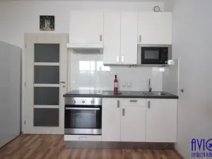 Pronájem bytu 1+kk, Praha - Vysočany, Freyova, 34 m2