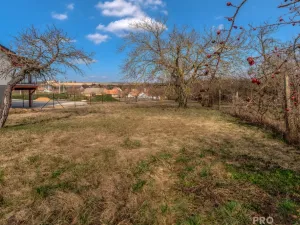Prodej pozemku pro bydlení, Skalice, 1000 m2