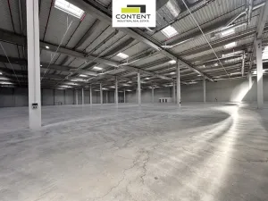 Pronájem výrobních prostor, Údlice, Droužkovická, 2500 m2