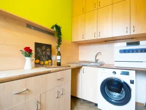 Pronájem bytu 1+1, Brno, Halasovo náměstí, 34 m2