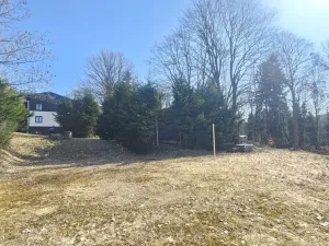 Prodej pozemku pro bydlení, Janov nad Nisou, 8231 m2