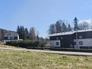 Prodej rodinného domu, Janov nad Nisou, 1047 m2