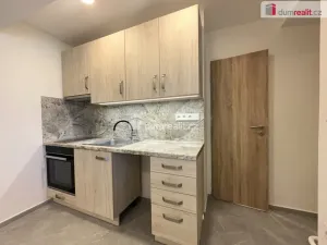 Pronájem bytu 1+kk, Břeclav, Bří. Mrštíků, 25 m2