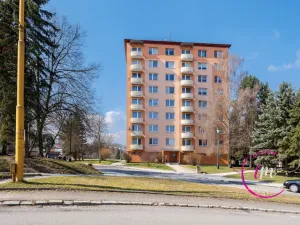 Prodej bytu 1+1, Jihlava, Březinova, 36 m2