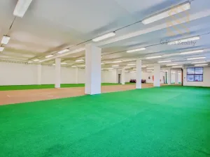 Pronájem obchodního prostoru, Polepy, 1200 m2