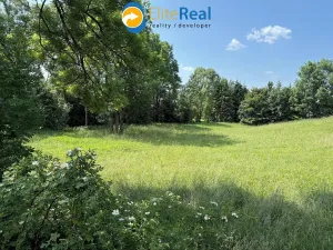 Prodej pozemku pro bydlení, Razová, 7007 m2