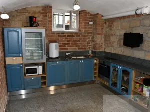 Pronájem bytu 2+kk, Plzeň, Mánesova, 60 m2