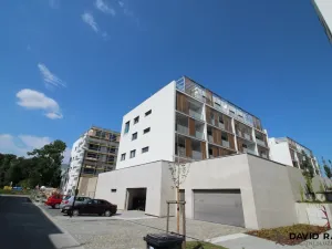 Pronájem bytu 1+kk, Olomouc - Nové Sady, Rokycanova, 40 m2
