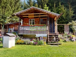 Prodej chaty, Nový Hrádek - Rzy, 43 m2