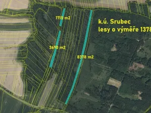 Prodej lesa, Srubec, Ledenická-Škarda, 13783 m2