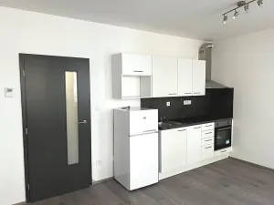 Pronájem bytu 1+kk, Brno, Hlinecká, 30 m2