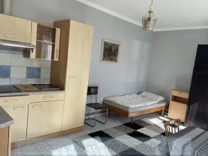 Pronájem pokoje, Praha - Vinohrady, Budečská, 25 m2