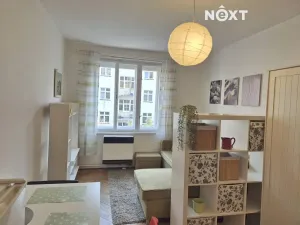 Pronájem bytu 1+kk, Praha - Žižkov, Žerotínova, 27 m2