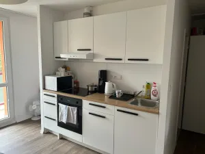 Pronájem bytu 1+kk, Pardubice, Lidická, 30 m2