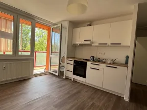 Pronájem bytu 1+kk, Pardubice, Lidická, 30 m2