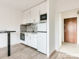 Prodej bytu 1+kk, Brno, Švermova, 30 m2