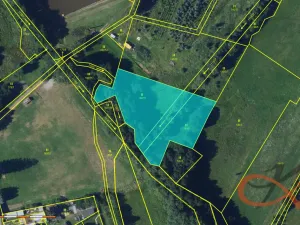 Prodej louky, Niva, 3356 m2