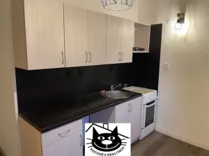 Prodej bytu 2+1, Příbram - Příbram I, Plzeňská, 52 m2